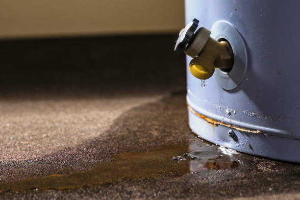 Best Basement water damage restoration  in Star, ID