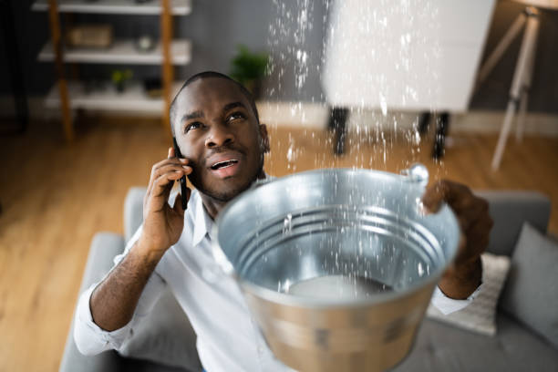 Best Water damage cleanup near me  in Star, ID