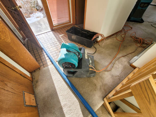 Best Local water damage restoration  in Star, ID