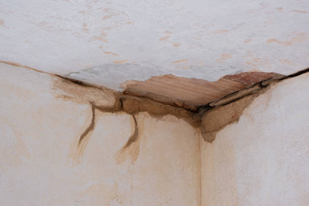  Star, ID Water damage restoration Pros