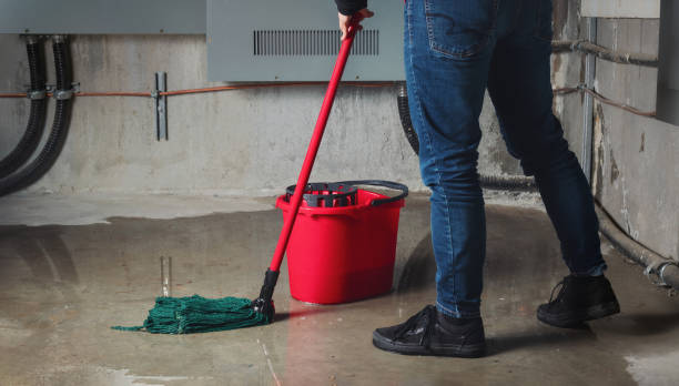 Best Water damage restoration near me  in Star, ID