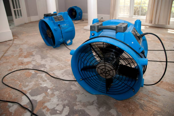 Best Ceiling water damage repair  in Star, ID