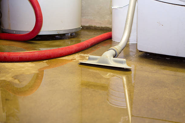 Water damage restoration mold remediation in Star, ID