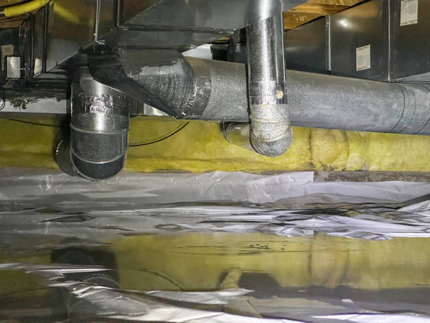 Best Emergency water extraction  in Star, ID